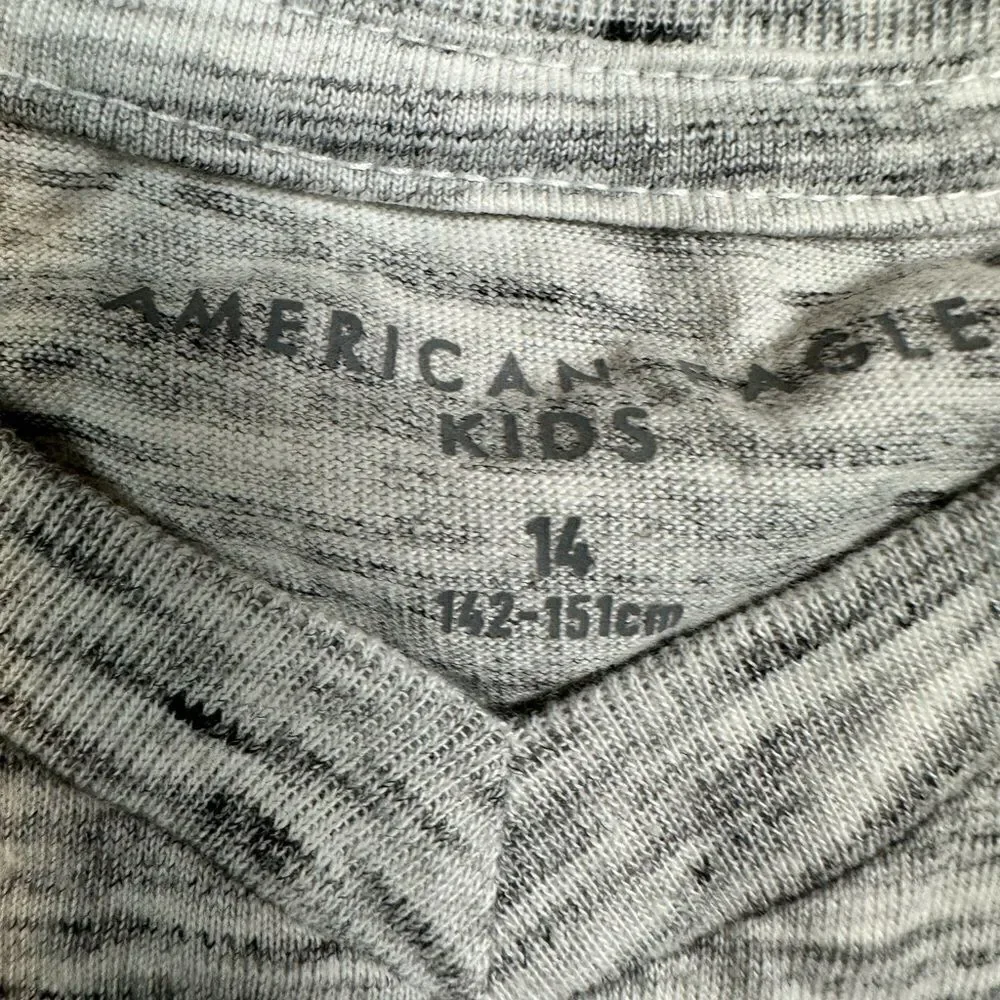 NWT American Eagle Kids Boys 2 Short Sleeve Tee Shirts Gray Logo Blue Palm - 14